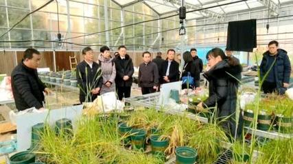 藺紅軍、陳沖赴成都理工大學(xué)洽談共建環(huán)境工程材料技術(shù)研究院，推動生態(tài)環(huán)境材料銷售