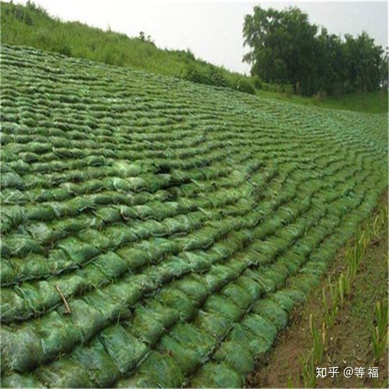 生態(tài)袋護(hù)坡 綠色堤防的創(chuàng)新解決方案——德州眾匯土工材料引領(lǐng)生態(tài)環(huán)境建設(shè)